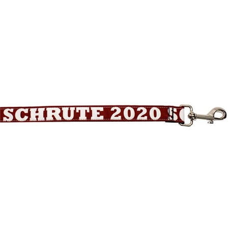 Mirage Pet 125-294 1004 Schrute 2020 Nylon Pet Leash, 1 in. x 4 ft.
