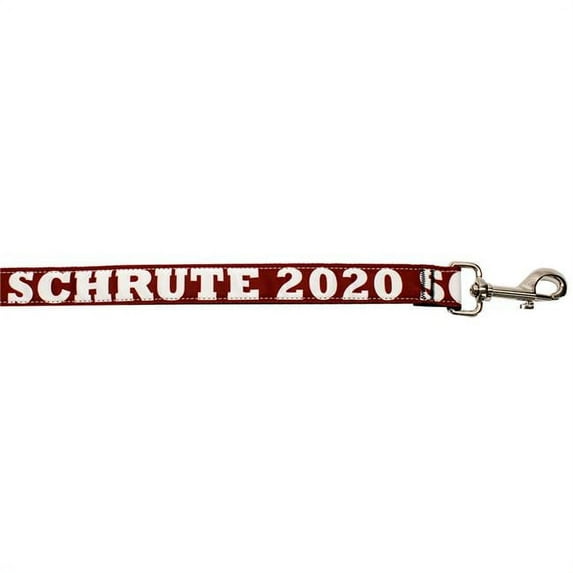 Mirage Pet 125-294 5804 Schrute 2020 Nylon Pet Leash, 0.63 in. x 4 ft.