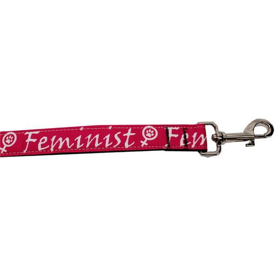 Mirage Pet 125-295 5806 Feminist Nylon Pet Leash, 0.63 in. x 6 ft.