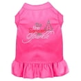 thumbnail image 1 of Mirage Pet  20 in. Tis the Season to Sparkle Rhinestone Dog Dress, Bright Pink - 3XL, 1 of 1