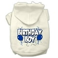 thumbnail image 1 of Pet, Dog  Cat Hoodie Screen Printed, "Birthday Boy", 1 of 8