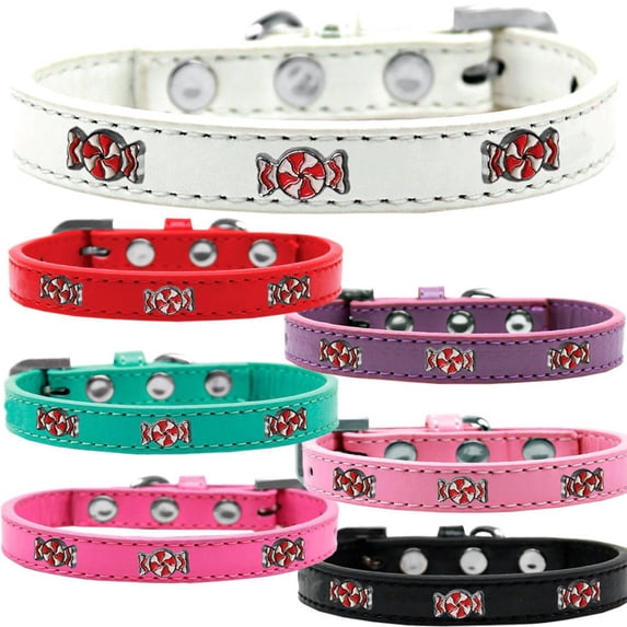 Dog, Puppy Pet Widget Fashion Collar, "Peppermint"