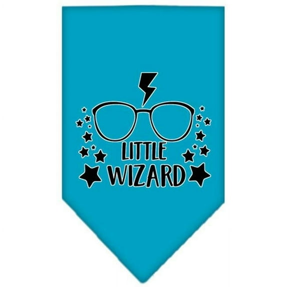 Mirage Pet 66-462 LGTQ Little Wizard Screen Print Bandana, Turquoise - Large