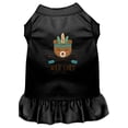 thumbnail image 1 of Mirage Pet 670-02 BKSM Wild Child Embroidered Dog Dress, Black - Small, 1 of 2