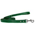 thumbnail image 1 of Mirage Pet 720-04 EGC3404 Plain Croc Leash, Emerald Green - 0.75 in. x 4 ft., 1 of 1