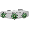 thumbnail image 1 of Mirage Pet 721-03 WTC20 Green Poinsettia Halo Croc Dog Collar, White - Size 20, 1 of 1