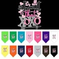 thumbnail image 1 of Mirage Pet All About that XOXO Screen Print Bandana Grey Small, 1 of 10