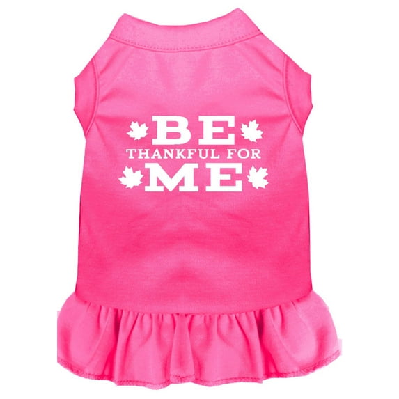 Mirage Pet Be Thankful for Me Screen Print Dress Bright Pink XS