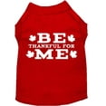 thumbnail image 1 of Be Thankful for Me Screen Print Shirt Red S (10), 1 of 10