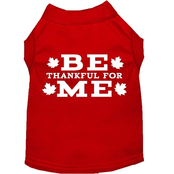 Be Thankful for Me Screen Print Shirt Red S (10)
