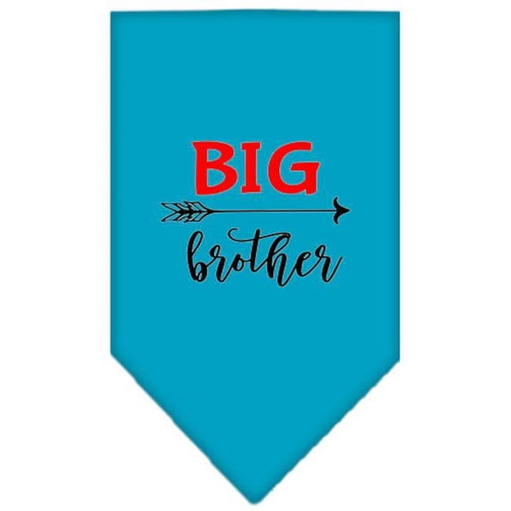 Mirage Pet Big BroTher Screen Print Bandana, Turquoise - Small