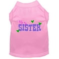 thumbnail image 1 of Pet Dog  Cat Shirt Screen Printed, "Big Sister", 1 of 10