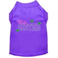 thumbnail image 1 of Pet Dog  Cat Shirt Screen Printed, "Big Sister", 1 of 10
