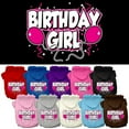 thumbnail image 1 of Pet, Dog  Cat Hoodie Screen Printed, "Birthday Girl", 1 of 10