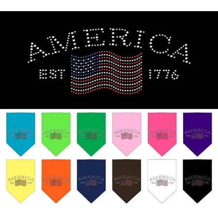 Classic American Rhinestone Bandana Turquoise Small