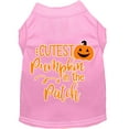 thumbnail image 1 of Halloween Pet Dog  Cat Shirt Screen Printed, "Cutest Pumpkin In The Patch", 1 of 11