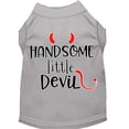 thumbnail image 1 of Mirage Pet Handsome Little Devil Screen Print Dog Shirt Grey Sm, 1 of 6