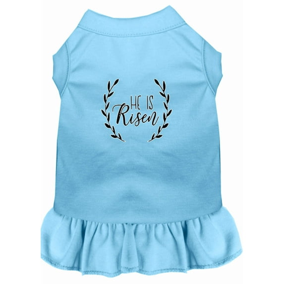 Mirage Pet He Is Risen Screen Print Dog Dress Baby Blue XS