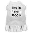 thumbnail image 1 of Mirage Pet  Here for the Boos Screen Print Dog Dress, White - Large 14, 1 of 1