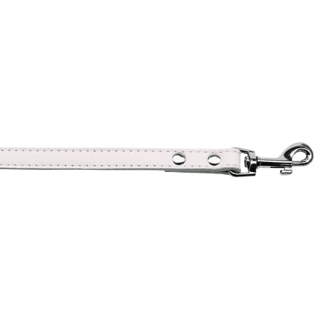 Pet, Dog or Cat Premium Pet Leash (1/2" wide x 4' long)