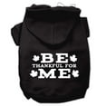 thumbnail image 1 of Thanksgiving Pet Dog  Cat Hoodie Screen Printed, "Be Thankful for Me", 1 of 11
