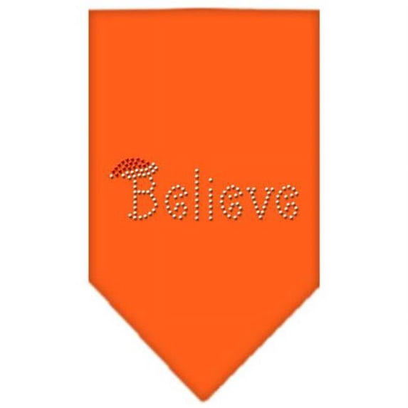 Mirage Pet Products Believe Rhinestone Bandana Orange Large