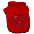 thumbnail image 1 of Birthday Pet Dog  Cat Hoodie Rhinestone, "Birthday Boy", 1 of 9