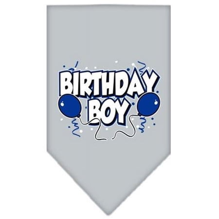 Mirage Pet Products Birthday Boy Screen Print Bandana Grey Large
