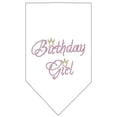 thumbnail image 1 of Mirage Pet Products  Birthday Girl Rhinestone Bandana White Large, 1 of 1