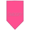 thumbnail image 1 of Mirage Pet Products  Cheeky Rhinestone Bandana Bright Pink Small, 1 of 1
