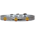 thumbnail image 1 of Chickadee Widget Croc Dog Collar Silver Size 18, 1 of 11