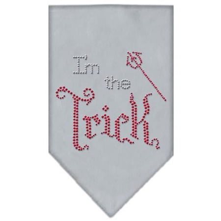 Mirage Pet Products I Am The Trick Rhinestone Bandana, Grey - Small