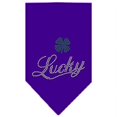 thumbnail image 1 of Mirage Pet Products  Lucky Script Rhinestone Bandana Purple Large, 1 of 1