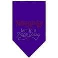 thumbnail image 1 of Christmas Pet and Dog Bandana Rhinestone, "Naughty, But In A Nice Way", 1 of 10
