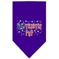 thumbnail image 1 of Mirage Pet Products  Pawtriotic Pup Screen Print Bandana Purple Small, 1 of 1