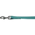 thumbnail image 1 of Mirage Pet Products Plain Nylon Pet Leash, 1 x 6, Ocean Blue, 1 of 2