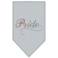 thumbnail image 1 of Mirage Pet Products  Pride Rhinestone Bandana Grey Large, 1 of 1
