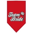 thumbnail image 1 of Mirage Pet Products  Team Bride Screen Print Bandana Red Large, 1 of 1