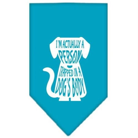 Mirage Pet Products Trapped Screen Print Bandana Turquoise Small