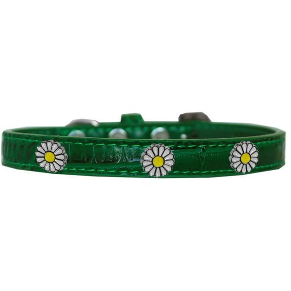 Dog, Puppy Pet Designer Croc Widget Collar, "White Daisies"