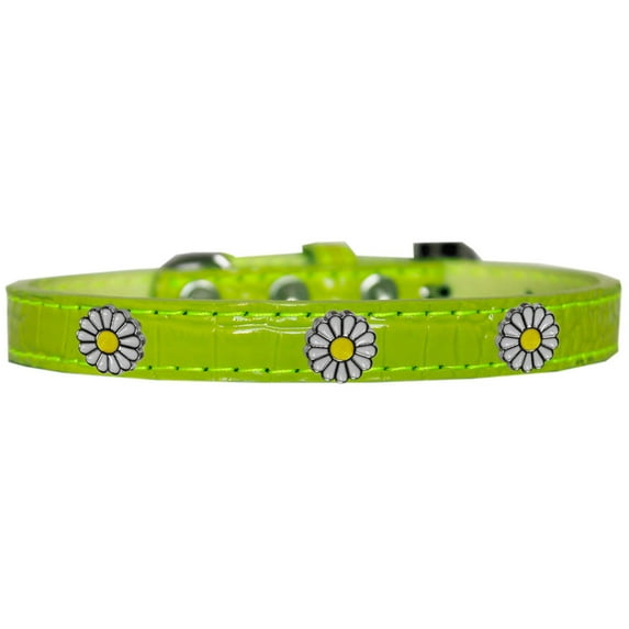 Dog, Puppy Pet Designer Croc Widget Collar, "White Daisies"
