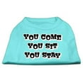 thumbnail image 1 of Mirage Pet Products  You Come You Sit You Stay Screen Print Shirts Aqua XL - 16, 1 of 1