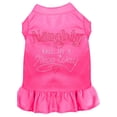 thumbnail image 1 of Christmas Pet Dog  Cat Dress Rhinestone, "Naughty But In A Nice Way", 1 of 10
