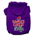 thumbnail image 1 of Christmas Pet Dog  Cat Hoodie Screen Printed, "Santa's Cutest Elf", 1 of 11