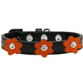 thumbnail image 1 of Flower Premium Collar Black With Flowers Size Size 18 Orange, 1 of 2