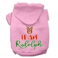 thumbnail image 1 of Christmas Pet Dog  Cat Hoodie Screen Printed, "Team Rudolph", 1 of 10