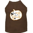 thumbnail image 1 of Mirage Pet Too Cute to Spook Screen Print Dog Shirt Brown XS, 1 of 10