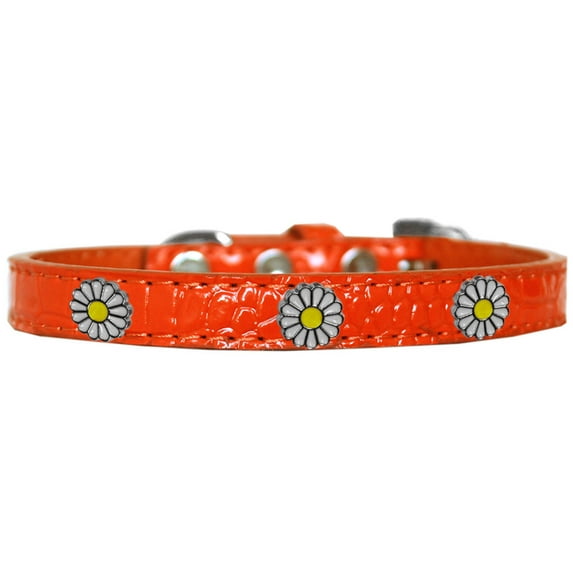 Dog, Puppy Pet Designer Croc Widget Collar, "White Daisies"