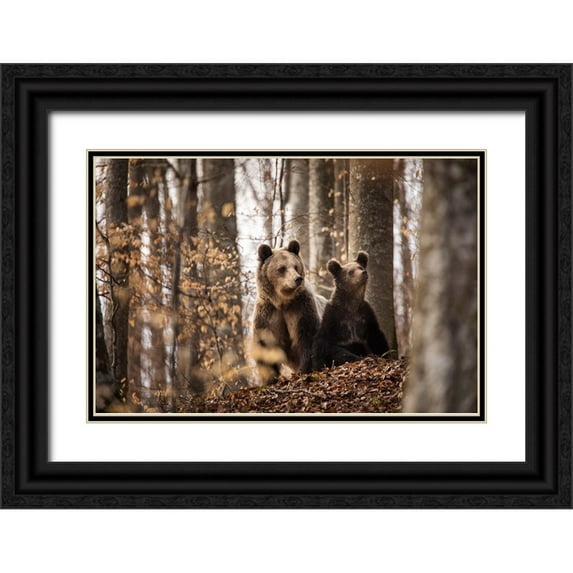 Mirica, Dan 24x17 Black Ornate Wood Framed with Double Matting Museum Art Print Titled - Mother And Son