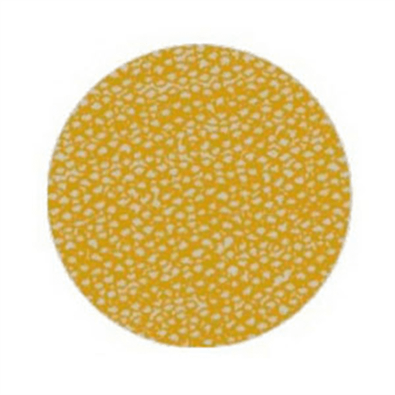 Mirka Abrasives OSP 2 OS-570-002 OS Series Closed Coated Sanding Sheet Roll, 2-3/4 in W x 33 ft L